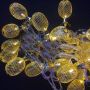Гірлянда золото 20Led сітка-ананас, 5м Гірлянда золото 20Led сітка-ананас, 5м
