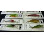 Набір воблерів Legend Fishing Gear Mix 12шт.